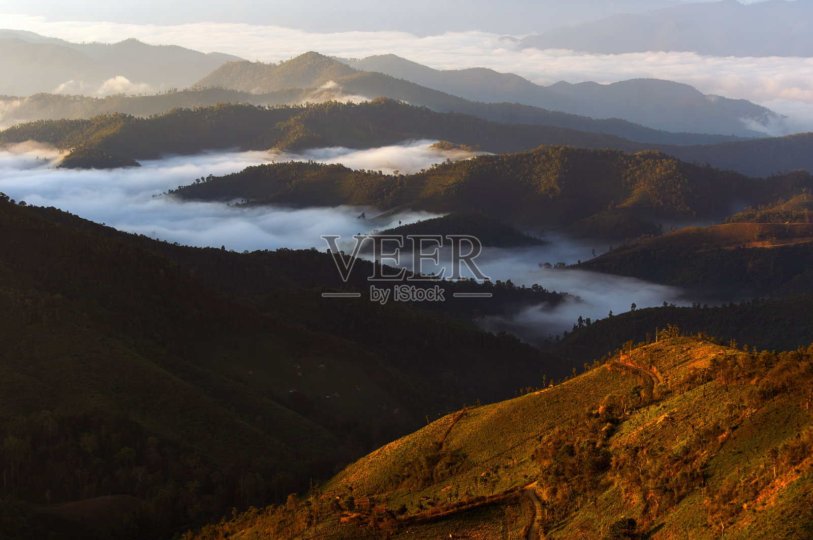 泰国湄宏顺府富科山庄严的风景，沐浴在金色的晨光中，山谷里弥漫着海雾。照片摄影图片