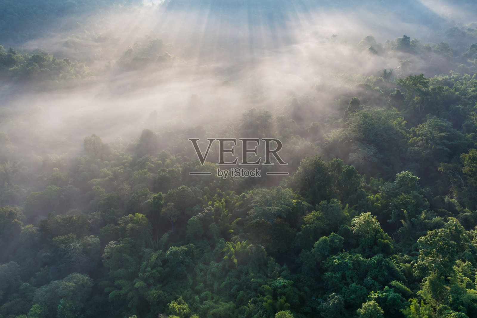 美丽的晨间云景或薄雾。照片摄影图片