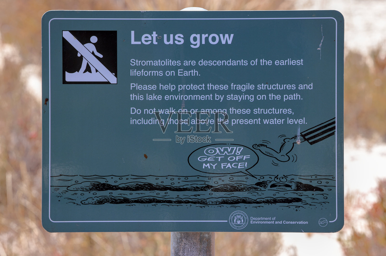 西澳大利亚州塞尔万特斯西湖的叠层石信息标志。原始生物。地球上最古老的生命形式,通过光合作用为大气贡献氧气。活化石。照片摄影图片