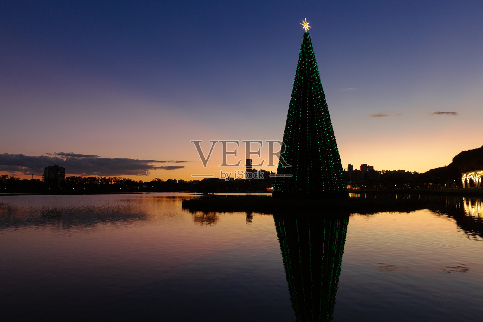 圣诞树在库里蒂巴的巴里吉公园。照片摄影图片