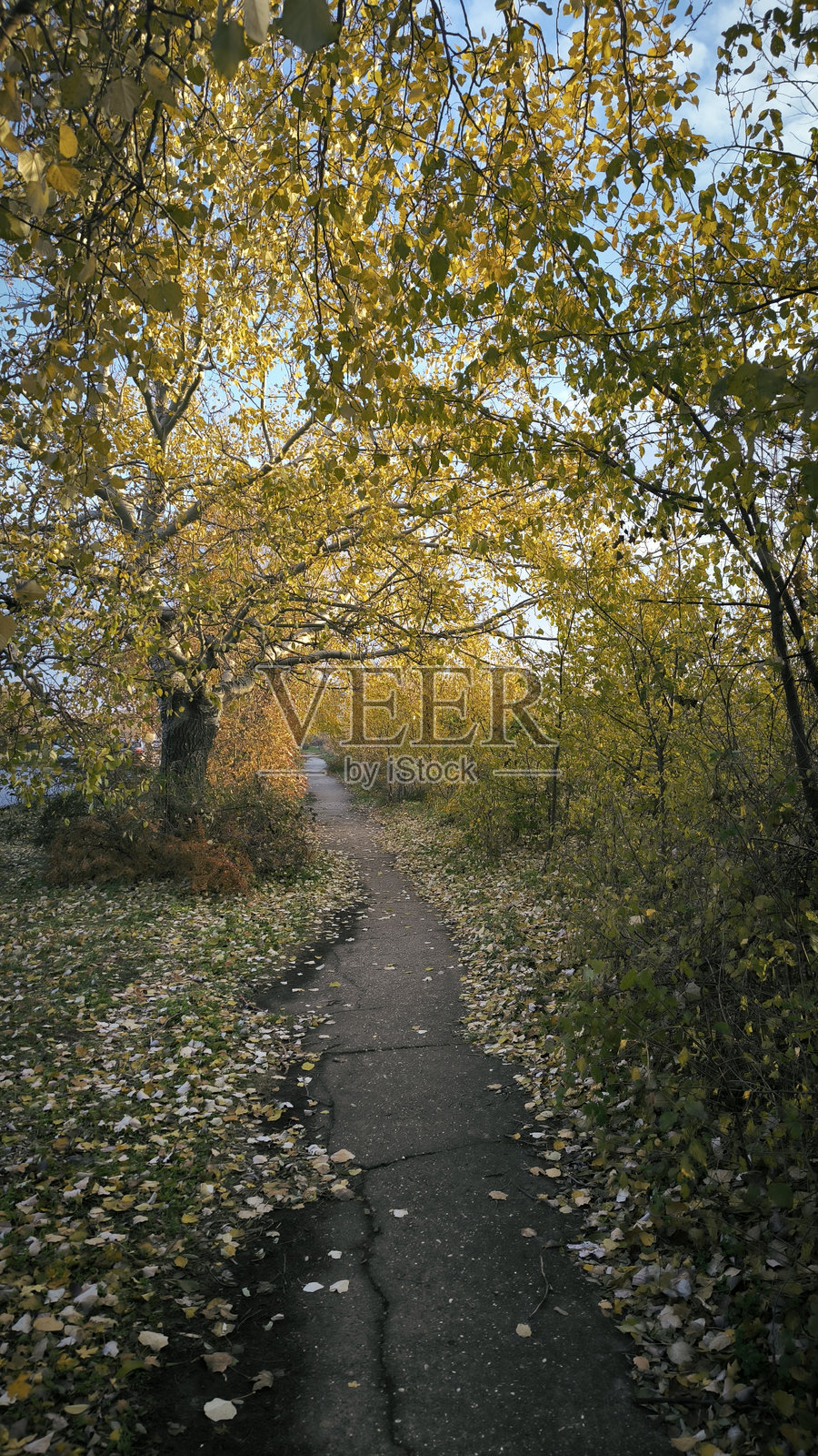 弗鲁什卡戈拉国家公园的秋景照片摄影图片