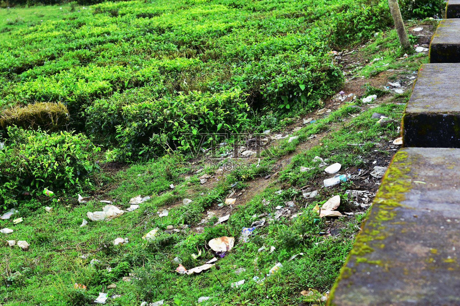 游客和游人在瓦尔帕莱的葱郁绿地中乱扔垃圾。这突显了即使是像印度泰米尔纳德邦瓦尔帕莱这样的风景秀丽的山站也面临着污染和环境挑战。照片摄影图片