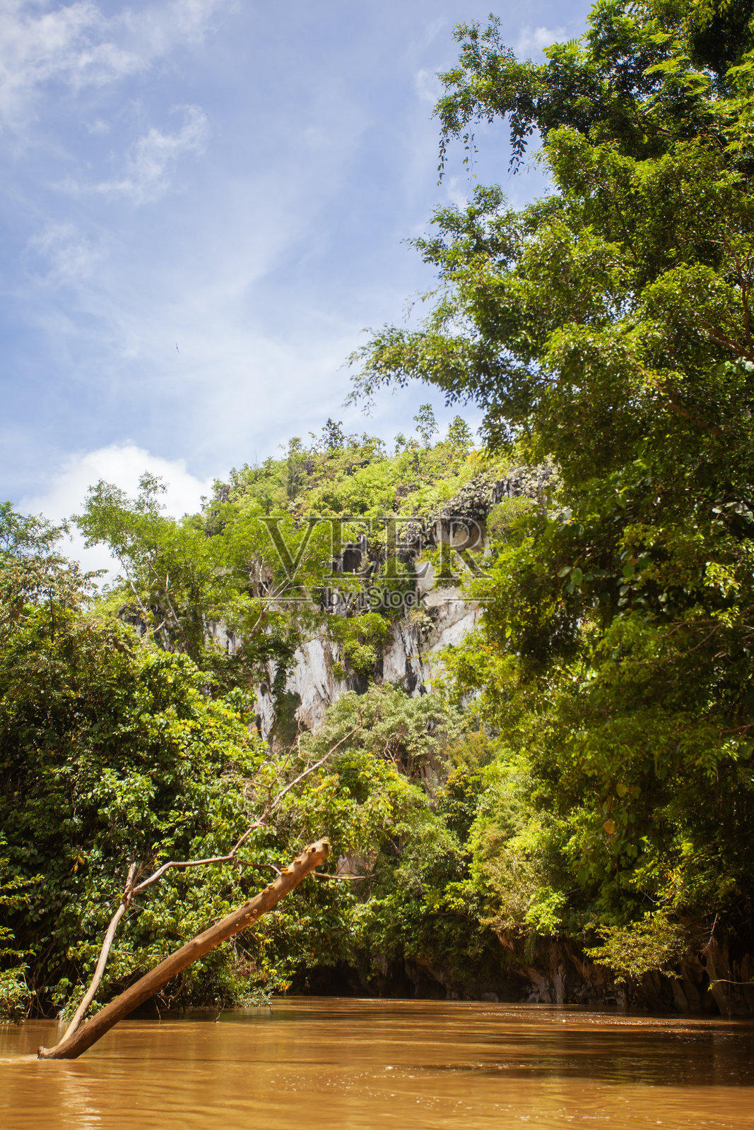 从河上看到的印度尼西亚东加里曼丹东部巴图阿吉喀斯特悬崖的壮丽景色。高耸的石灰岩峭壁上装饰着茂密的热带雨林植被。照片摄影图片