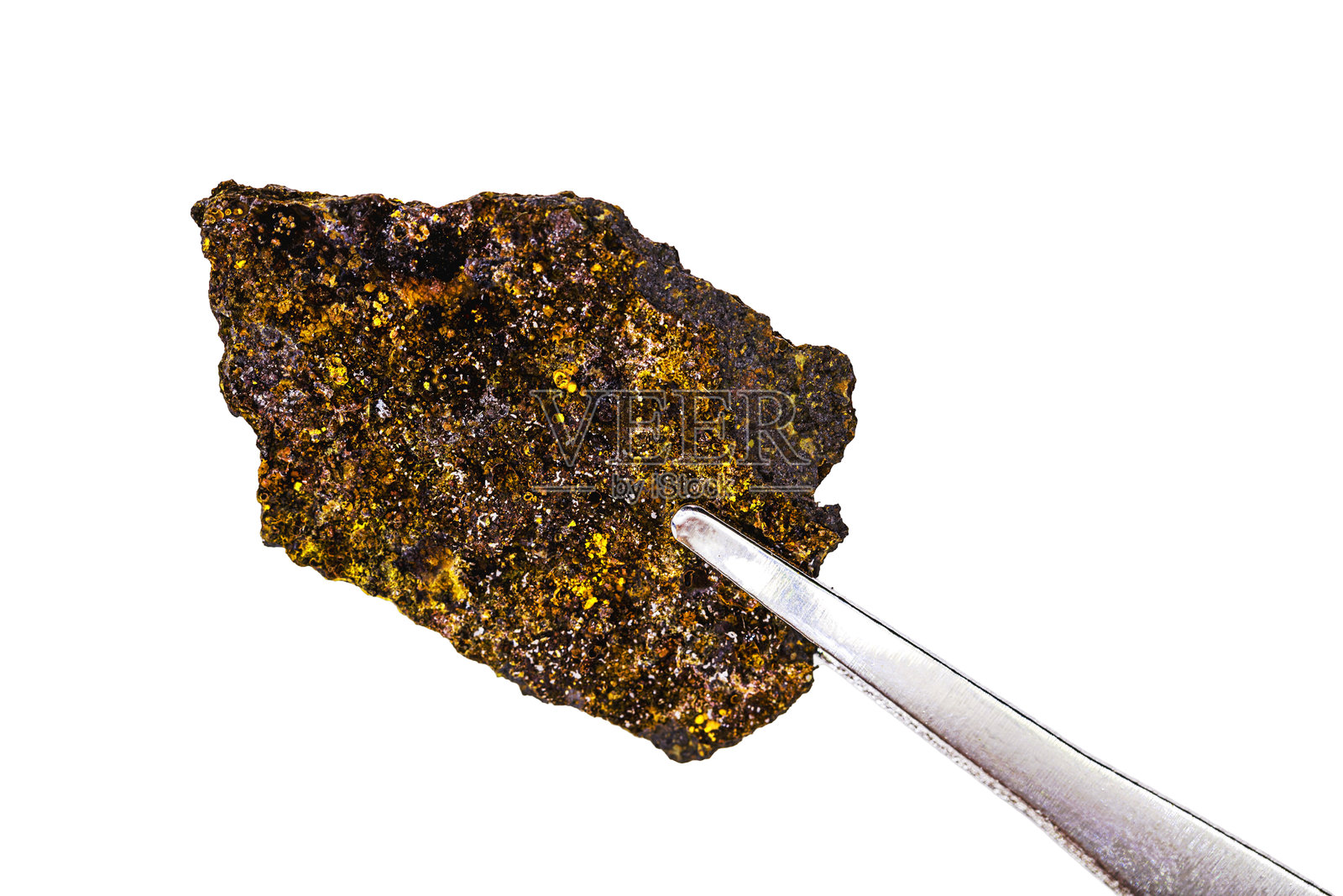 生锈的金属，腐蚀的金属碎片，在培养皿中，腐蚀研究照片摄影图片