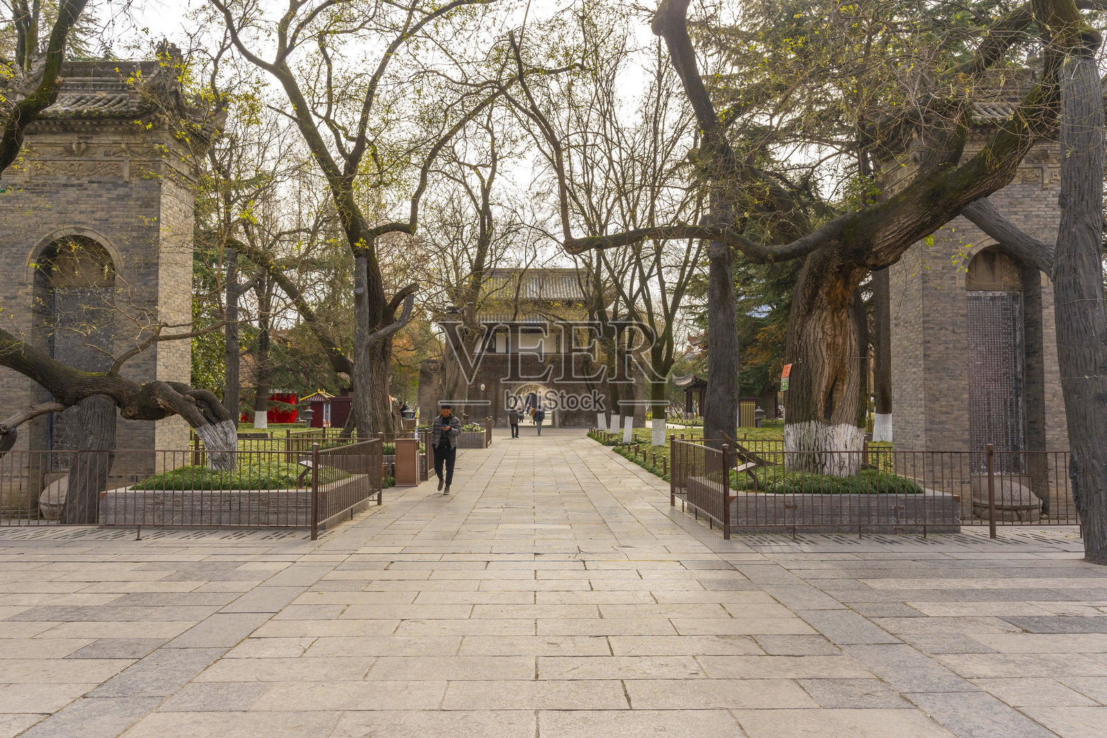 西安小雁塔大雄宝殿照片摄影图片