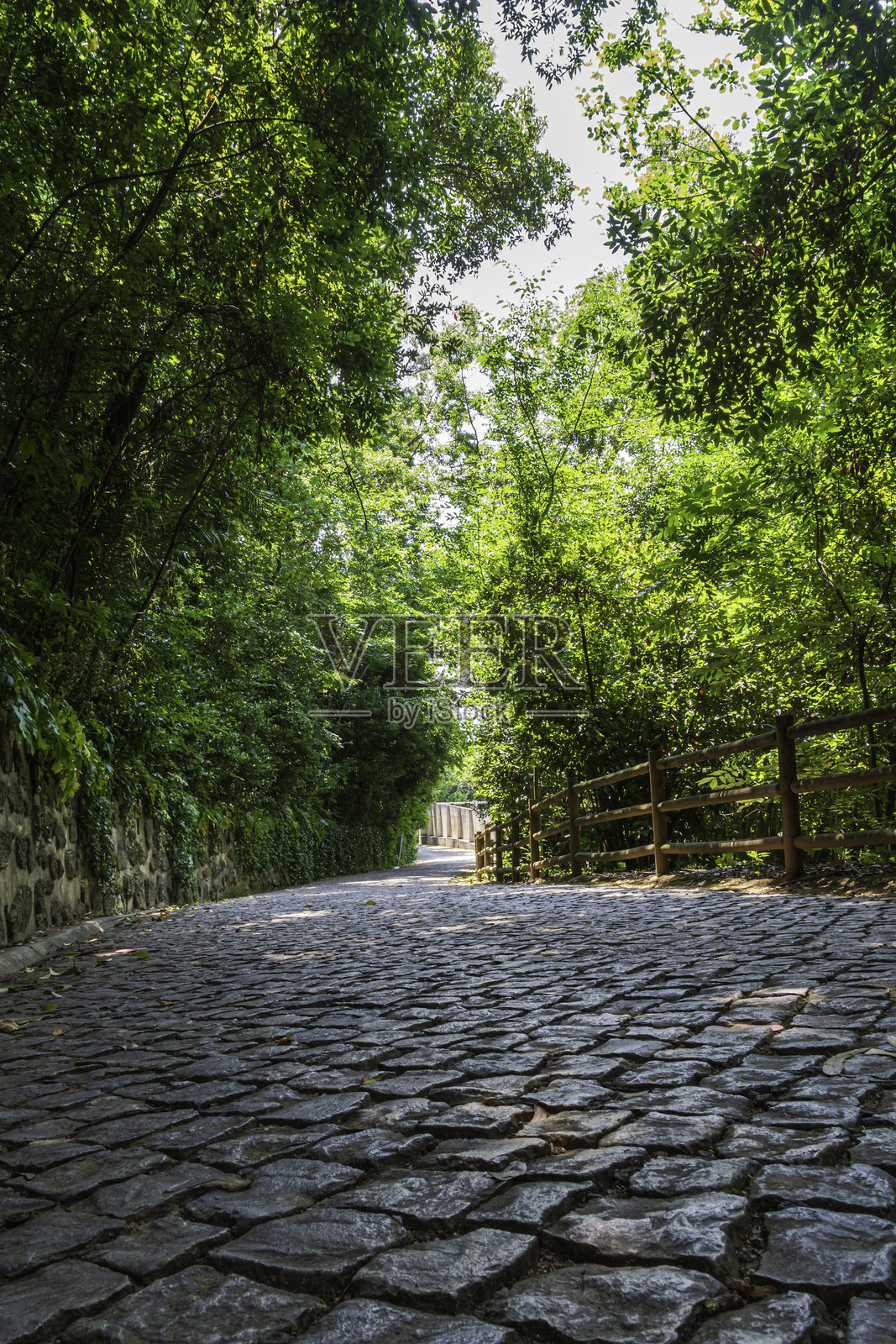 穿过绿色森林的鹅卵石小径，旁边有木制栅栏照片摄影图片