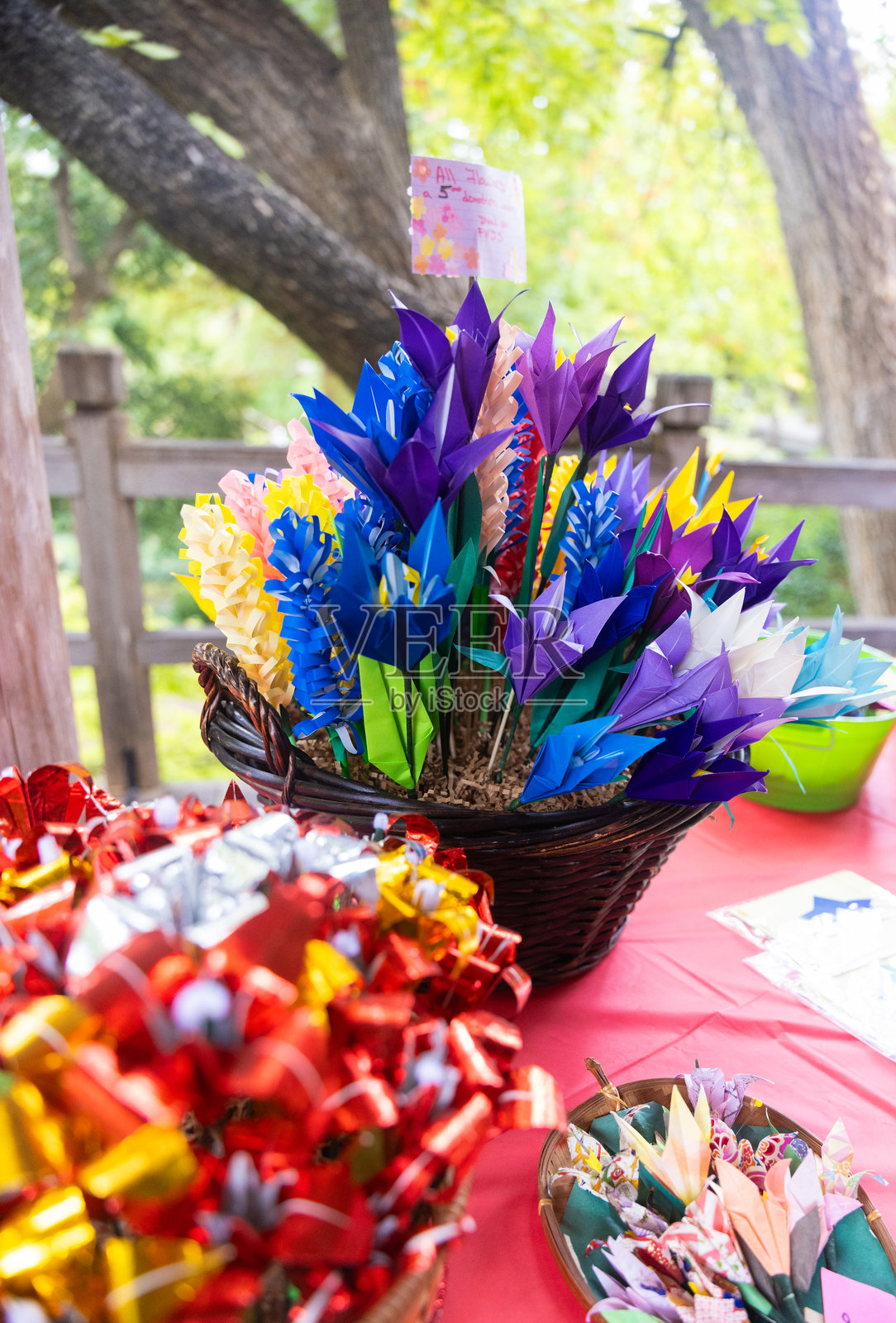 自然，野生动物，建筑和花园照片摄影图片