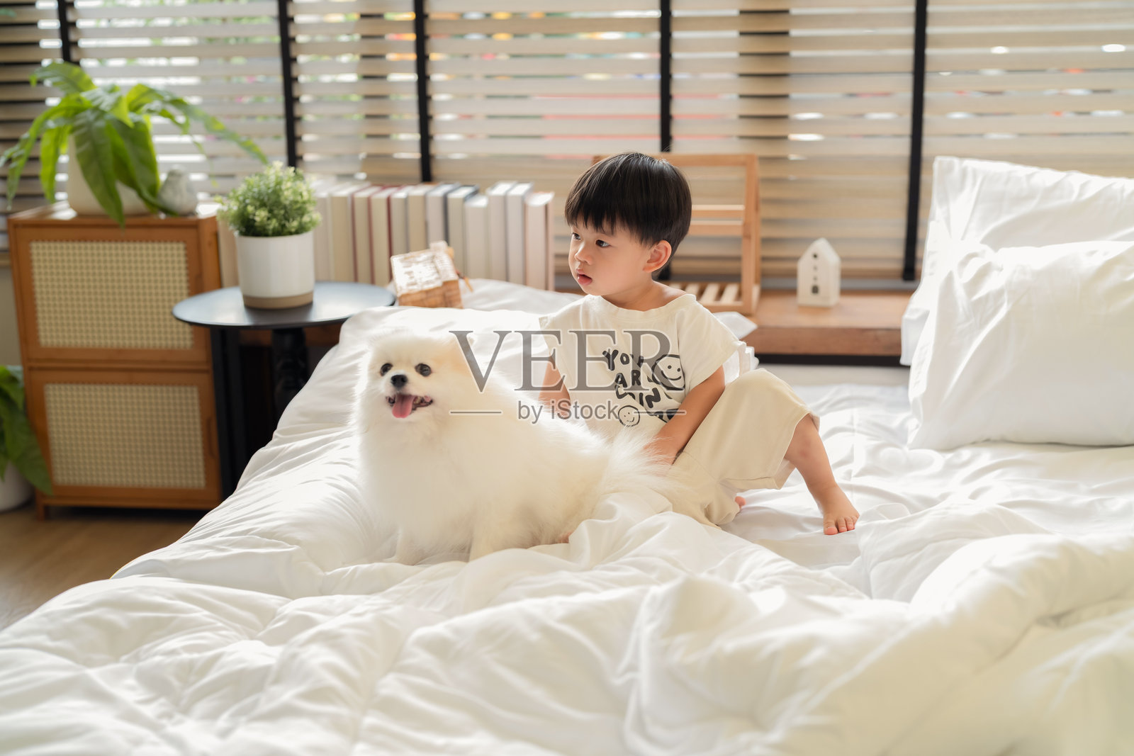 可爱亚洲小男孩和他的好朋友——毛茸茸的博美犬醒来，在温馨的家居和柔和的室内设计背景下，展现了孩子与宠物之间暖心的羁绊和友谊。照片摄影图片