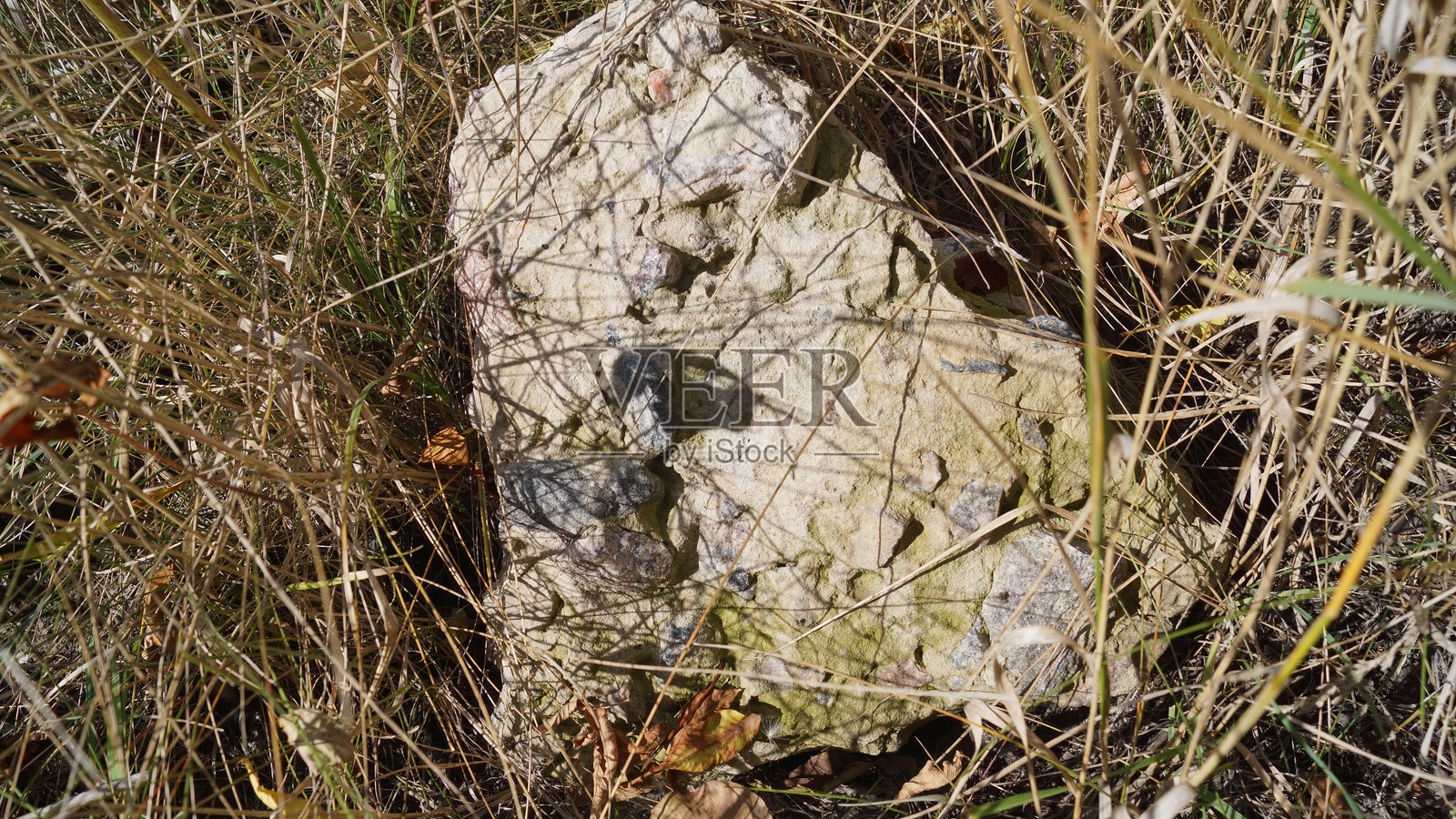 干草中的风化岩石照片摄影图片