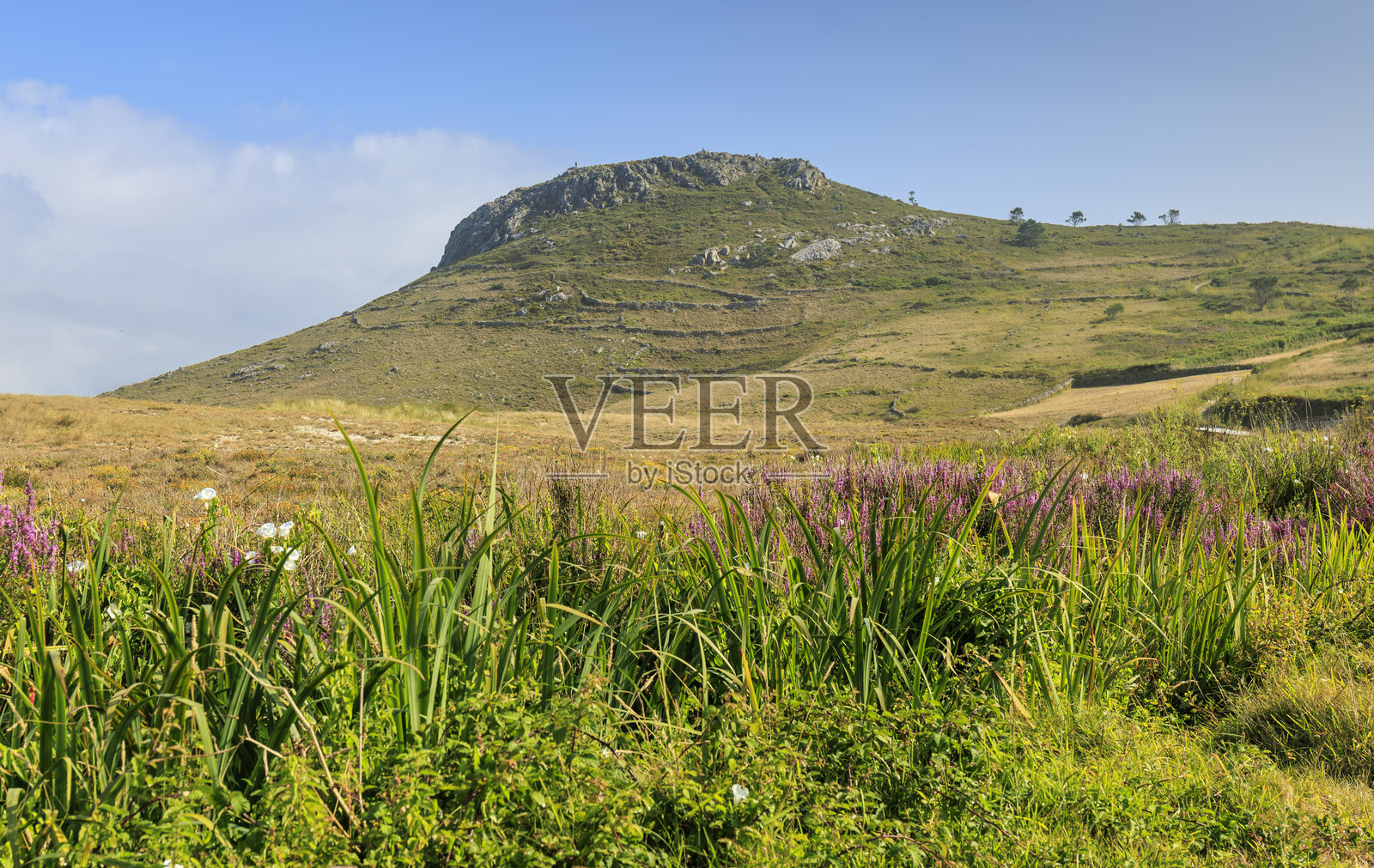 索斯特海滩及周边的岩石照片摄影图片