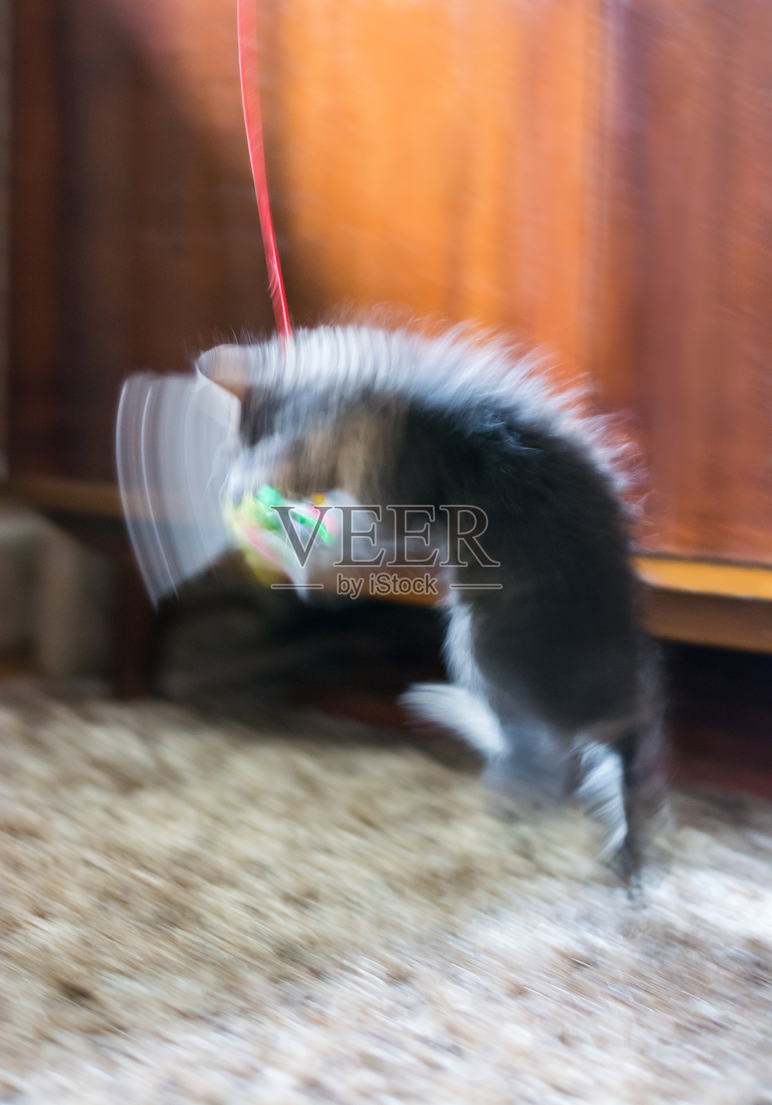 条纹小猫跑得太快以至于看起来模糊了。照片摄影图片