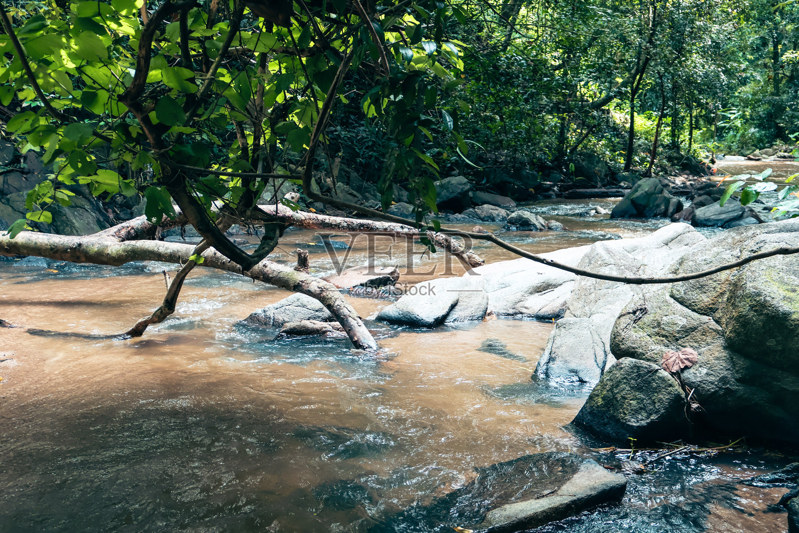 宁静的河景，平静的河水潺潺流过光滑的石头，周围是郁郁葱葱的绿植，营造出平和的自然环境，非常适合放松和沉思。照片摄影图片