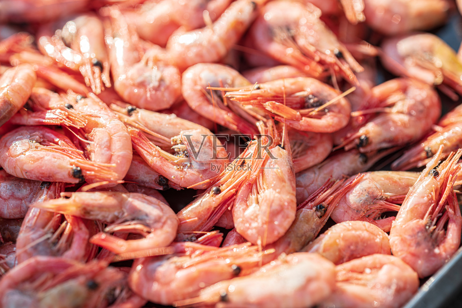 新鲜烹制的粉色虾仁特写视图。照片摄影图片