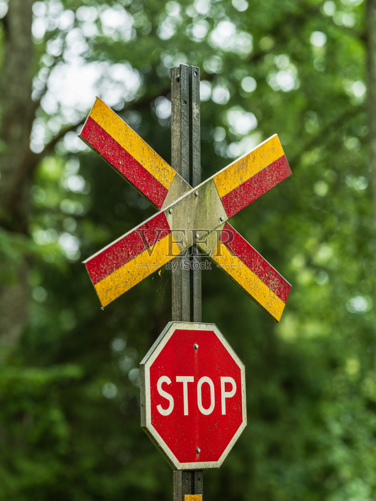 森林中的铁路道口标志，带有红色停止符号。照片摄影图片