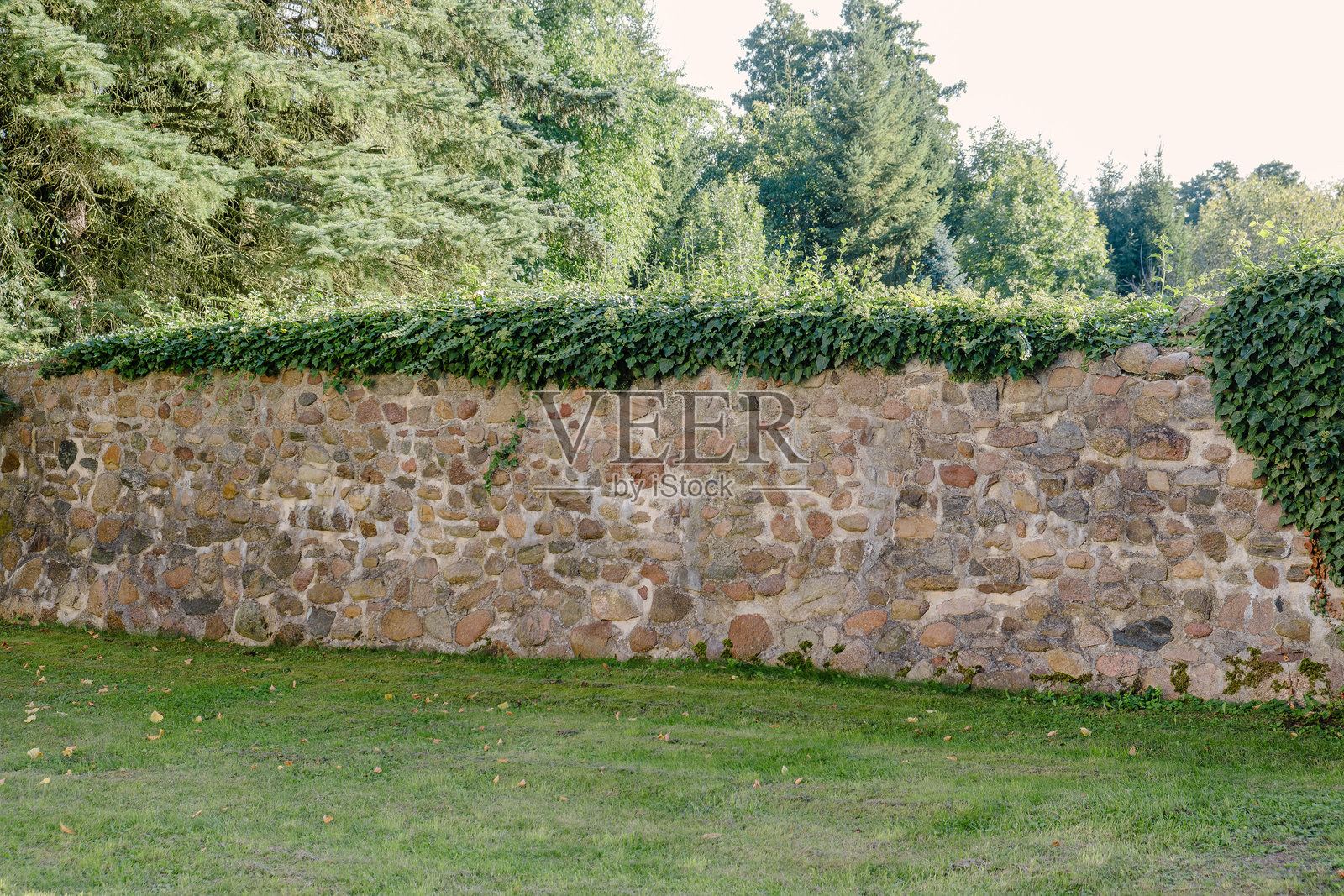 长满青草的古老石墙照片摄影图片