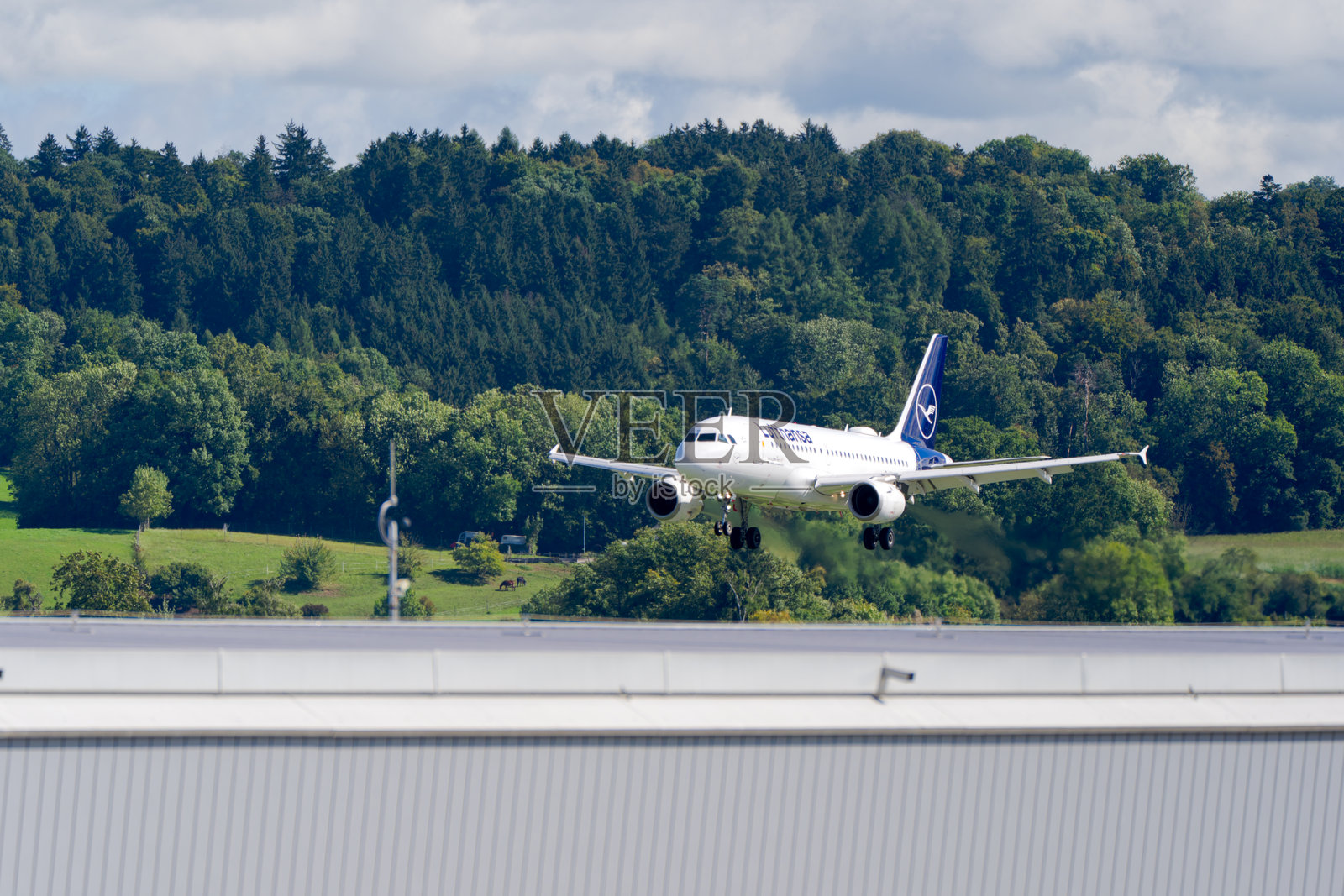 夏末时分,汉莎航空注册号为D-AILF的空客A319-100客机正在降落于瑞士苏黎世机场。照片摄影图片