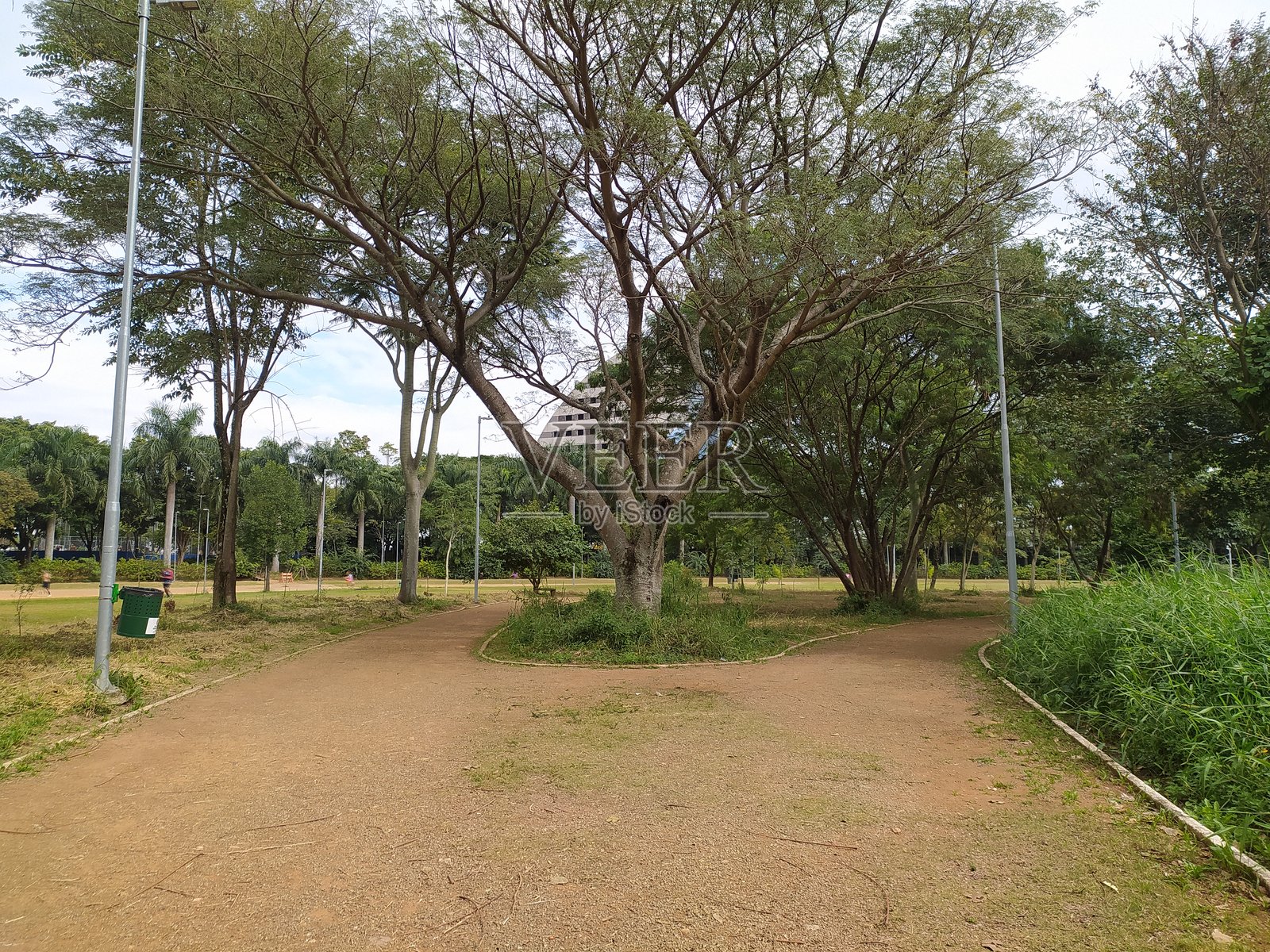 圣保罗维拉瓜伊尔希区公园 (Parque do Trote in Vila Guilherme district, Sao Paulo)照片摄影图片