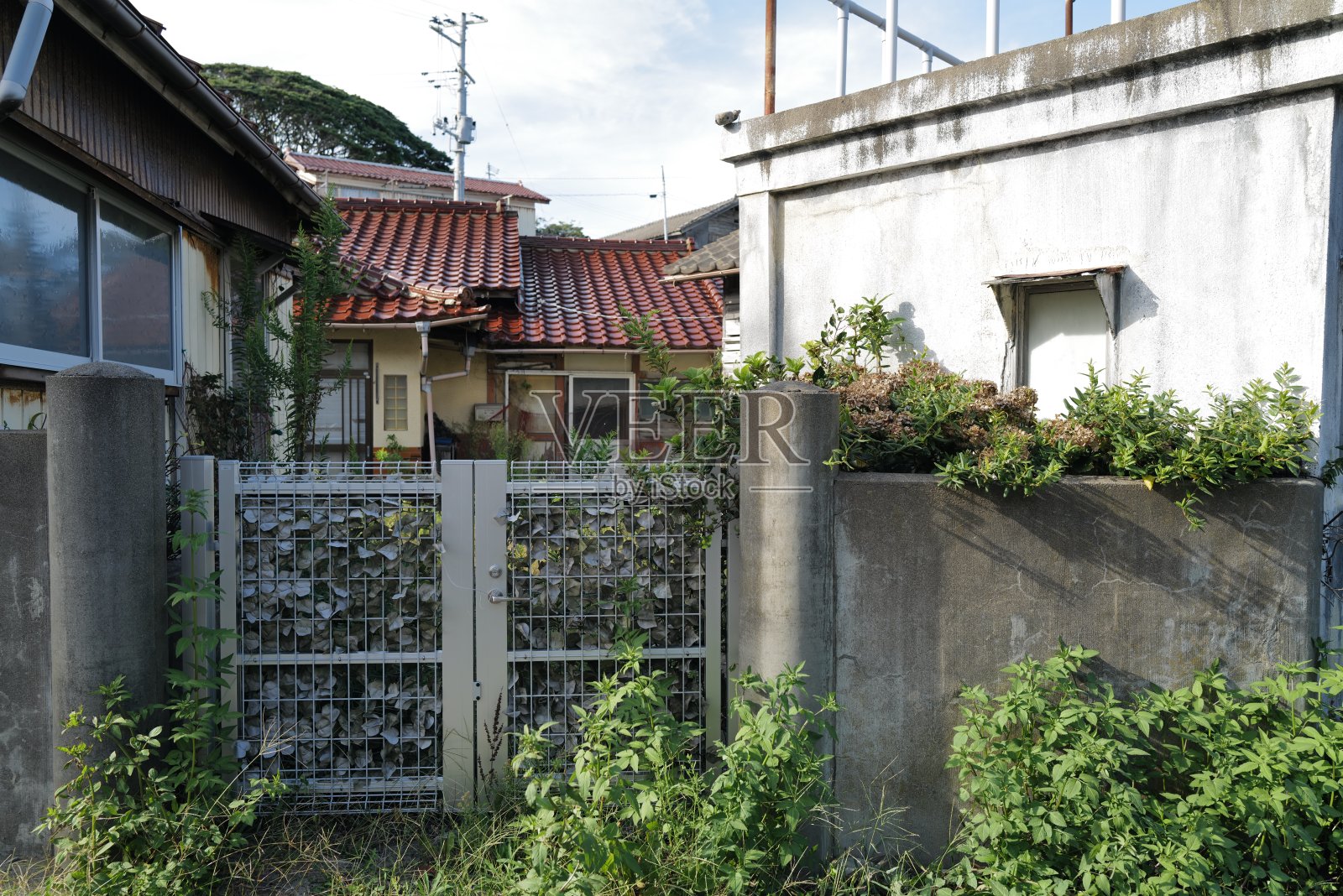 2011年日本3.11地震和海啸的痕迹照片摄影图片