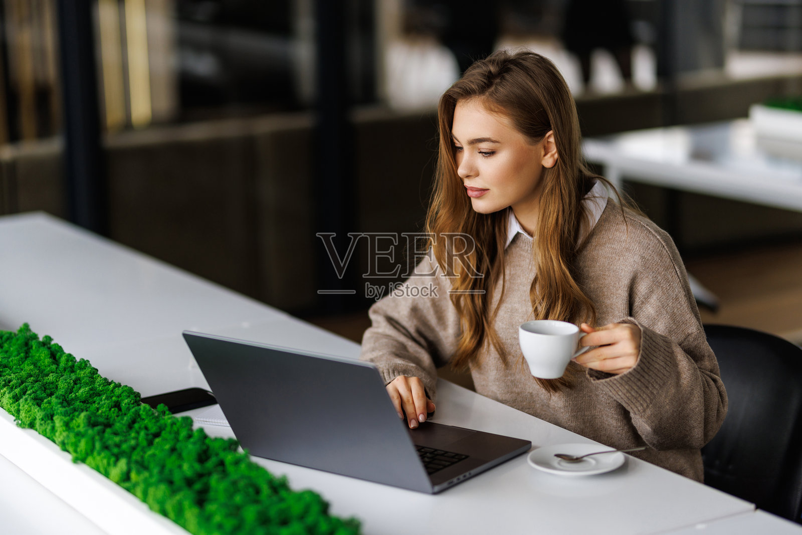 时尚的女经理，自由职业者，在舒适的咖啡馆里用笔记本电脑工作。照片摄影图片