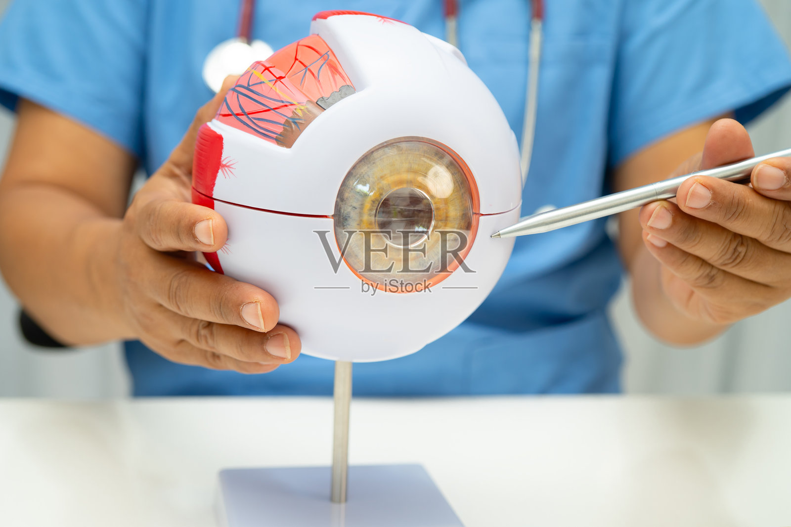 亚洲医生在医院使用眼部人体解剖模型进行研究、诊断和治疗。照片摄影图片