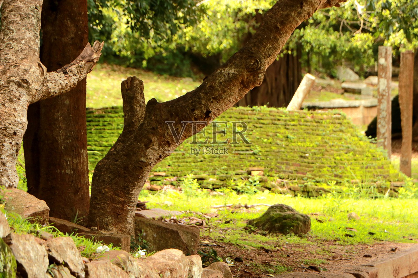 米欣塔莱 - 斯里兰卡照片摄影图片