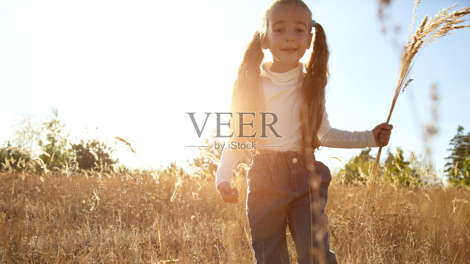 夕阳阳光下，小女孩在花田中自由自在。照片摄影图片