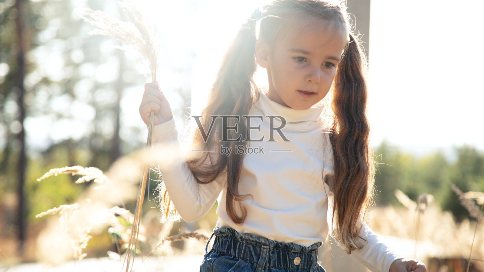 阳光下，一个小女孩独自走在田野里。照片摄影图片