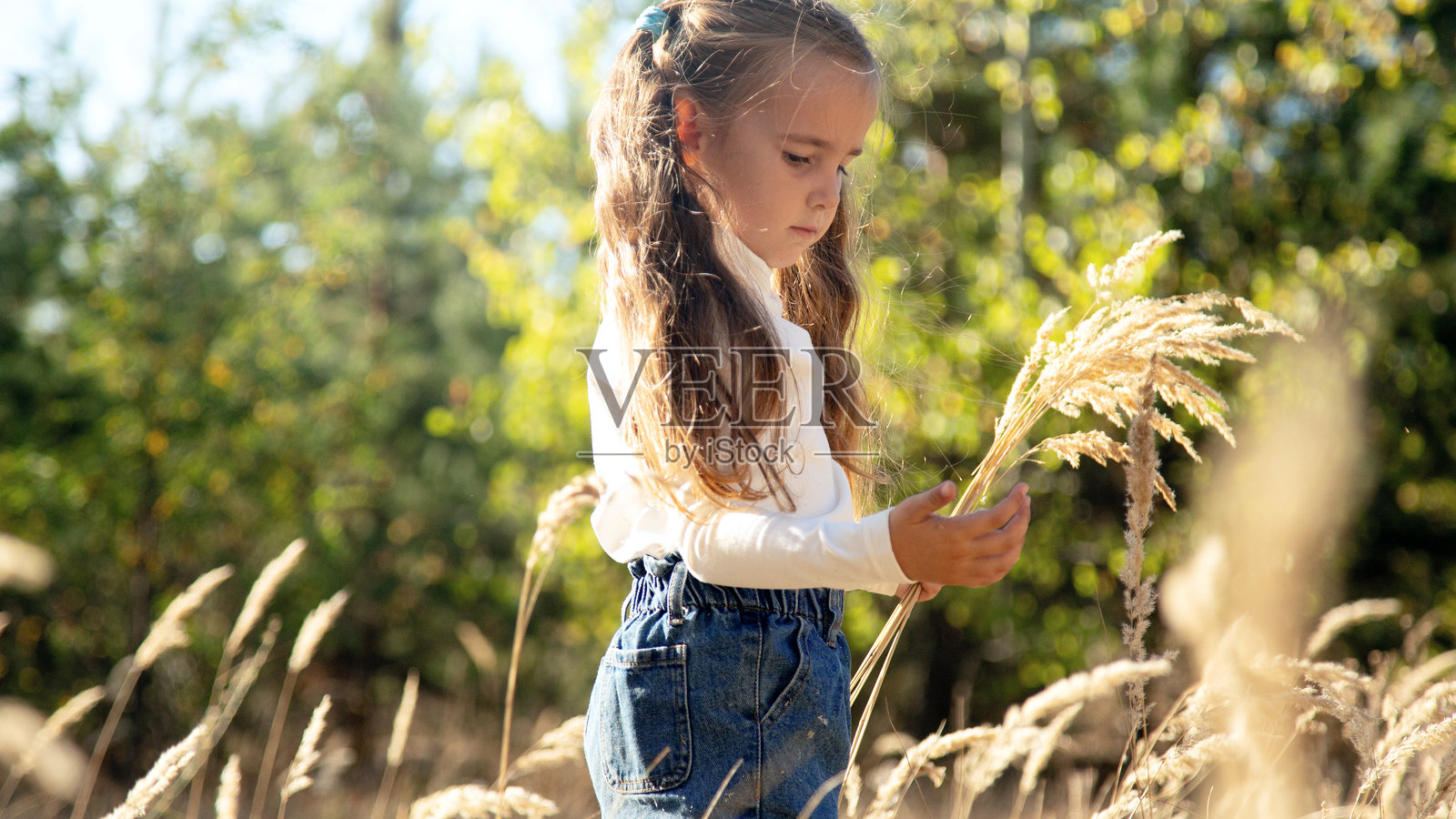 阳光下，一个小女孩独自走在田野里。照片摄影图片