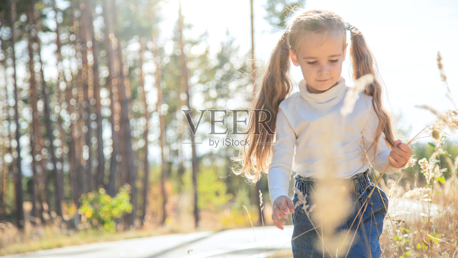 阳光下，小女孩独自在田野里行走照片摄影图片