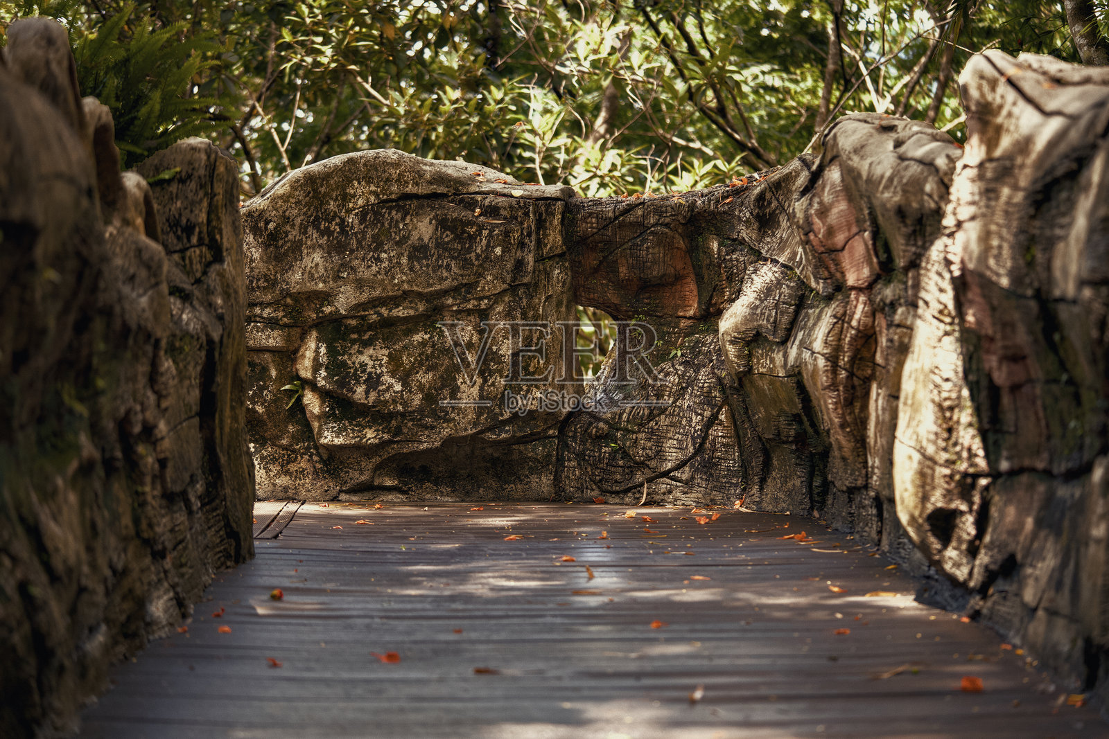 宁静祥和的木栈道蜿蜒穿过岩石丛林景观照片摄影图片