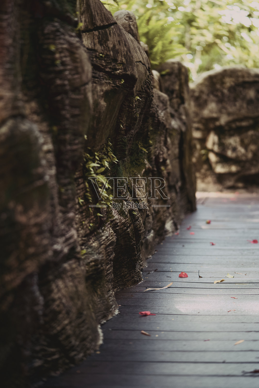 一条宁静的小路蜿蜒穿过大自然，点缀着迷人的石头和木质元素。照片摄影图片