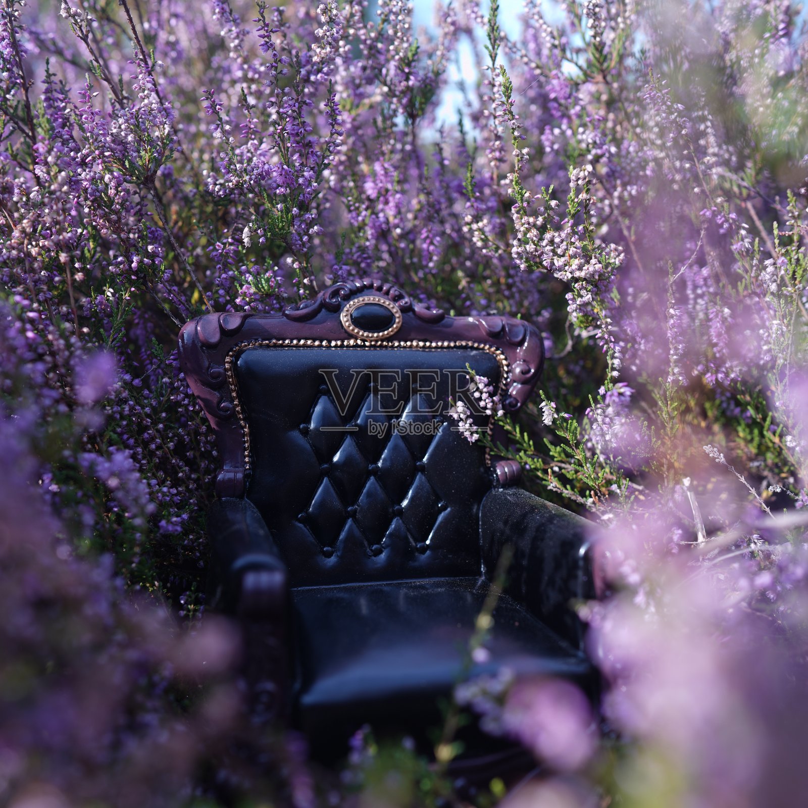 奢华的巴洛克扶手椅，周围环绕着丁香花。照片摄影图片