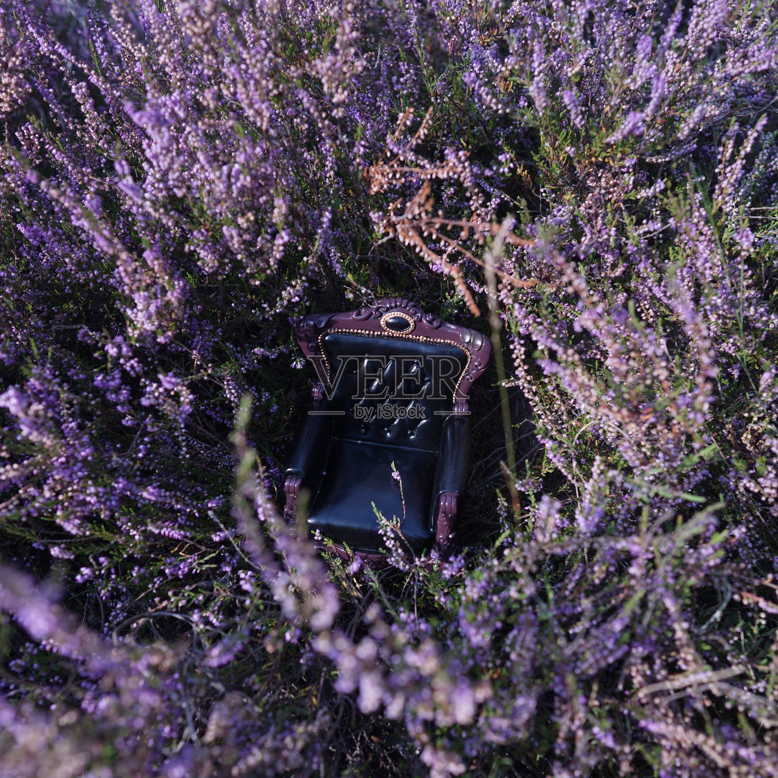 奢华的巴洛克扶手椅，周围环绕着紫丁香。照片摄影图片