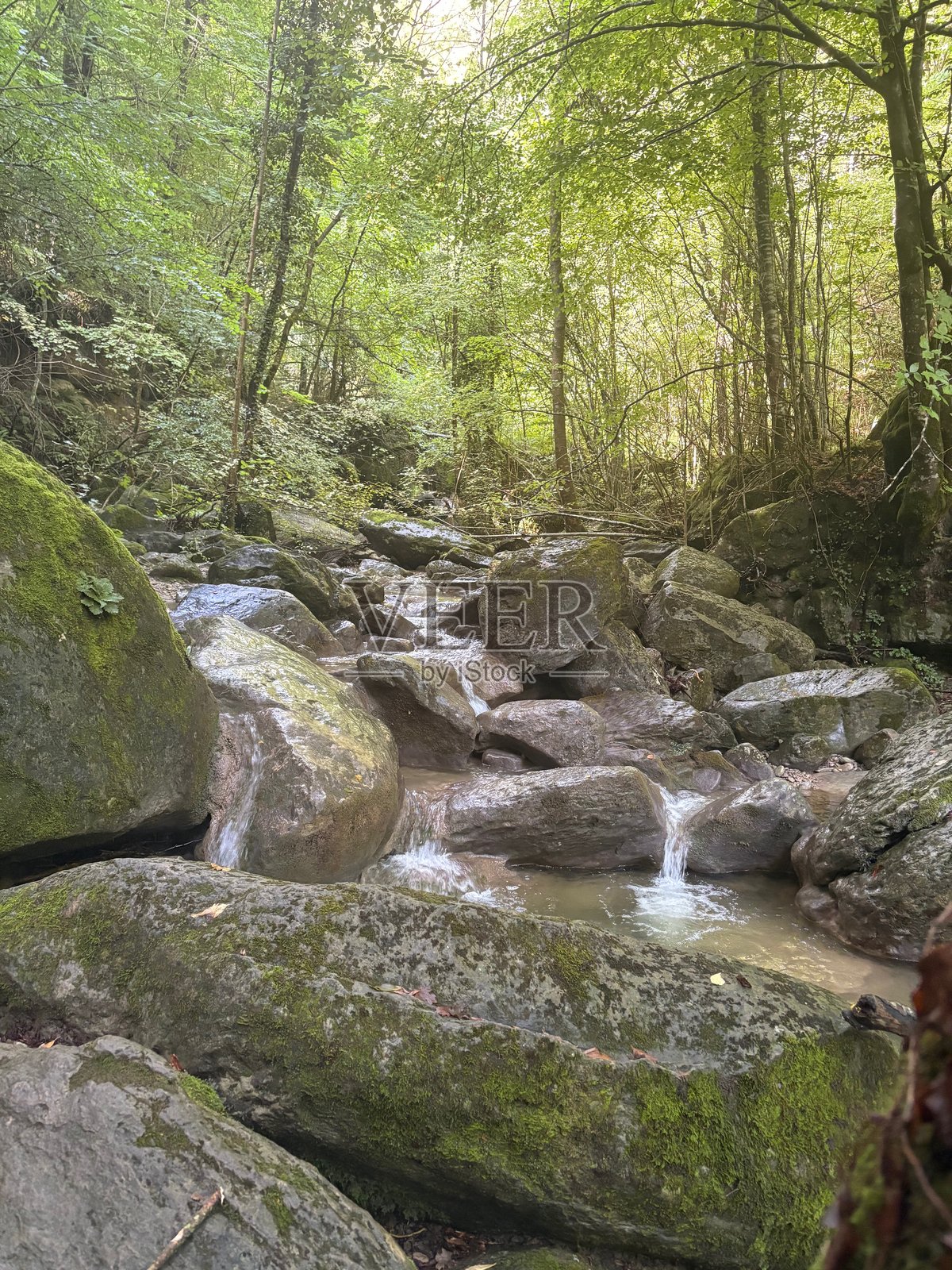 英国科茨沃尔德小镇的美丽绿色风景照片摄影图片