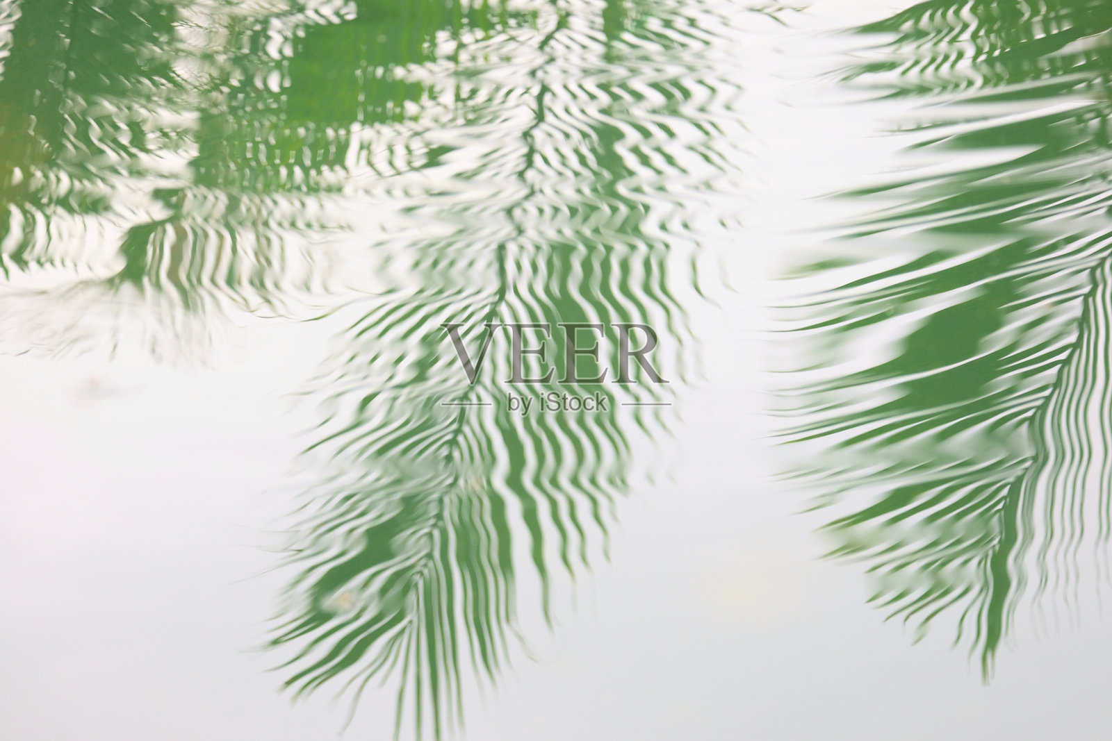 绿色公园里树的影子照片摄影图片