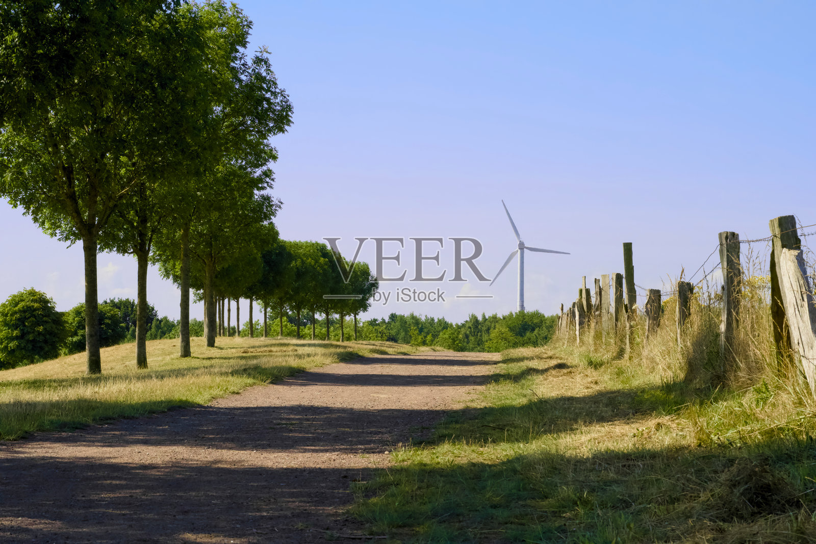 一條美麗寧靜的風景小徑，兩旁種植著各種樹木，附近還有一個風力渦輪機。照片摄影图片