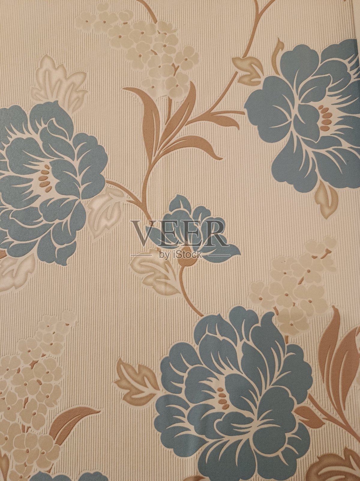 工作背景的多样性照片摄影图片