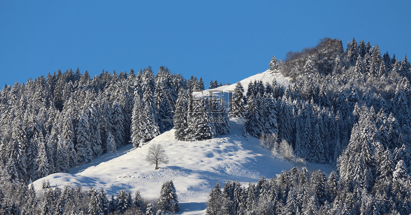 瑞士托根堡山谷的冬季风光。照片摄影图片