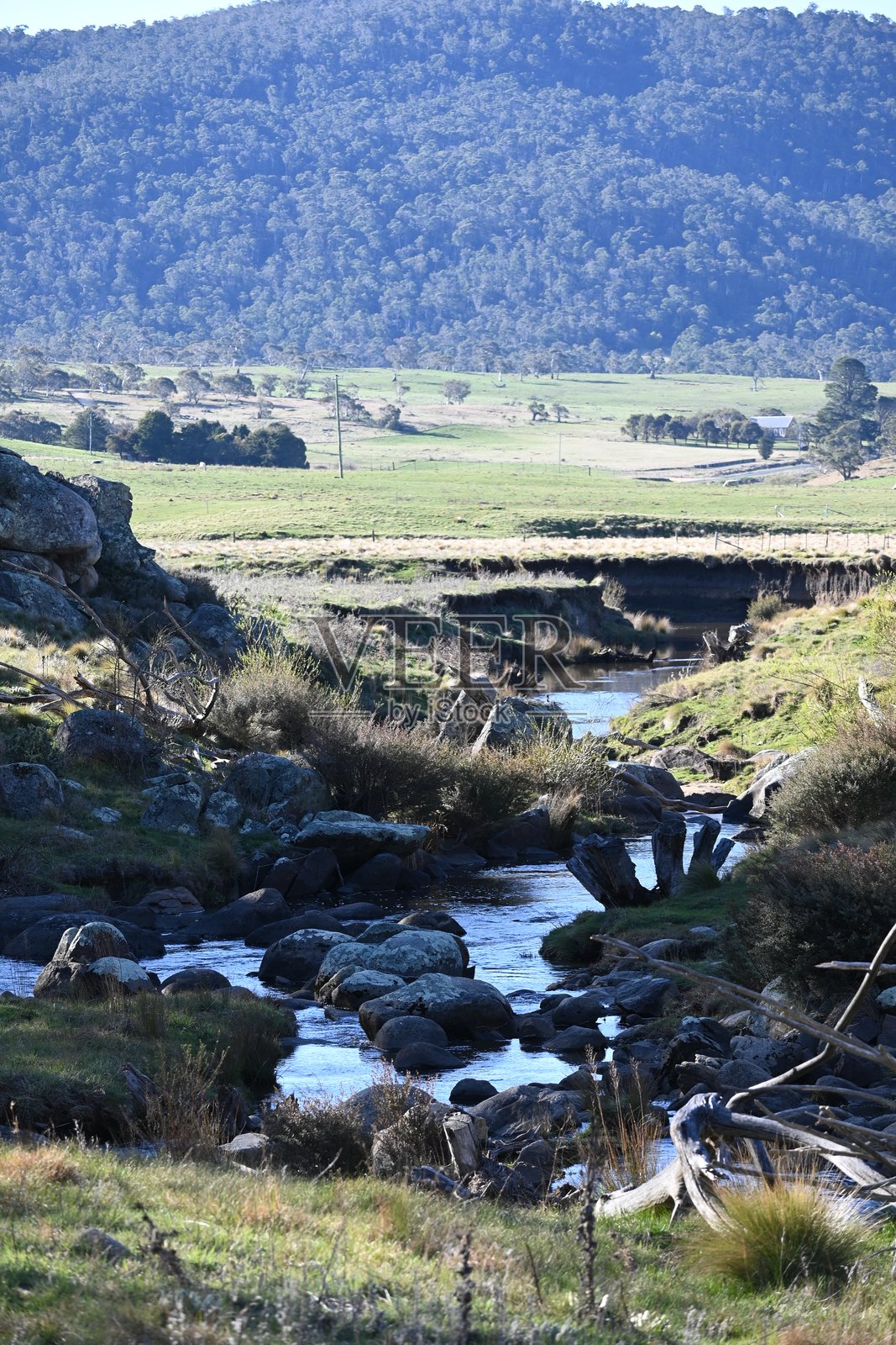 澳大利亚新南威尔士州雪山旁的溪流景色和倒影。有桉树、草地和袋熊洞。照片摄影图片