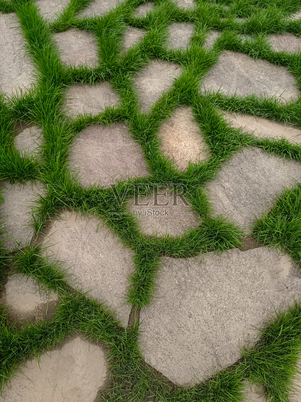 一条石板铺成的小径照片摄影图片