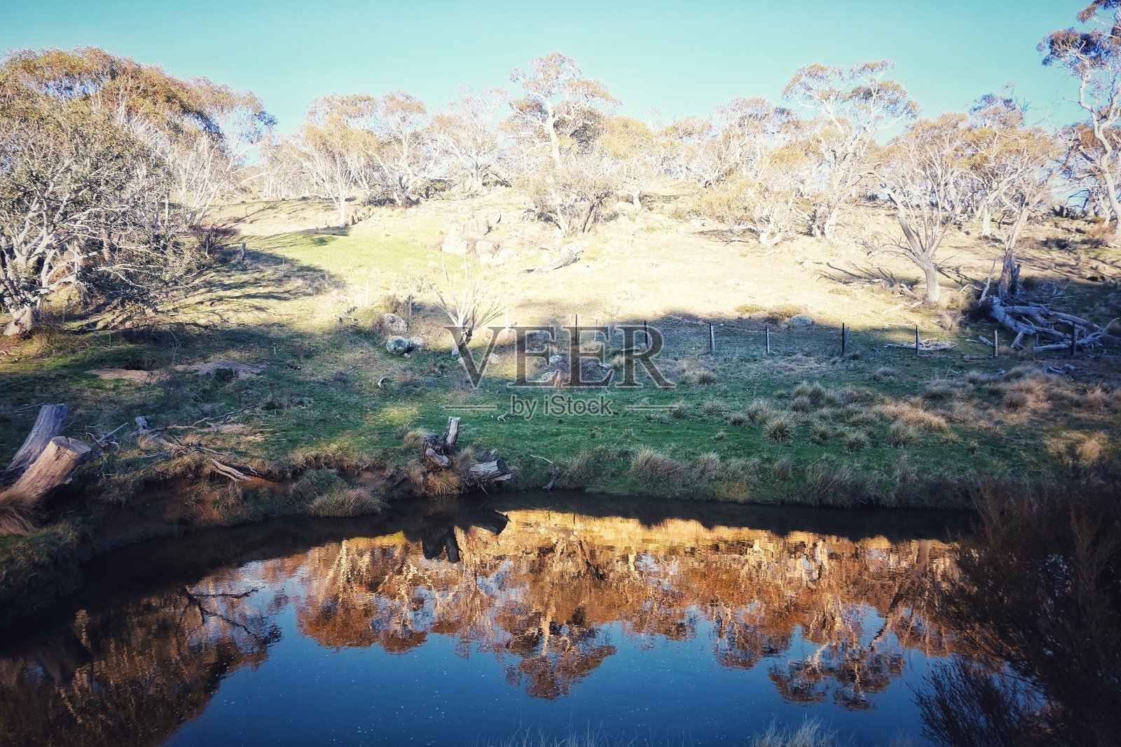 澳大利亚新南威尔士州，雪山溪流景色与倒影。桉树、草地和袋熊洞。照片摄影图片