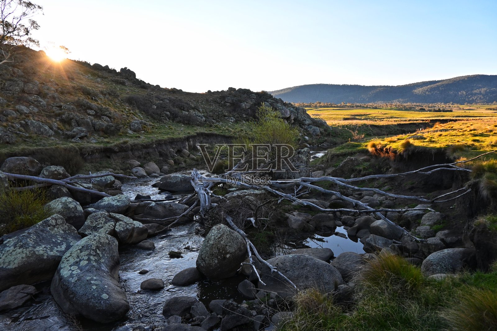 澳大利亚新南威尔士州雪山溪流景色与倒影。桉树、草地和袋熊洞。照片摄影图片