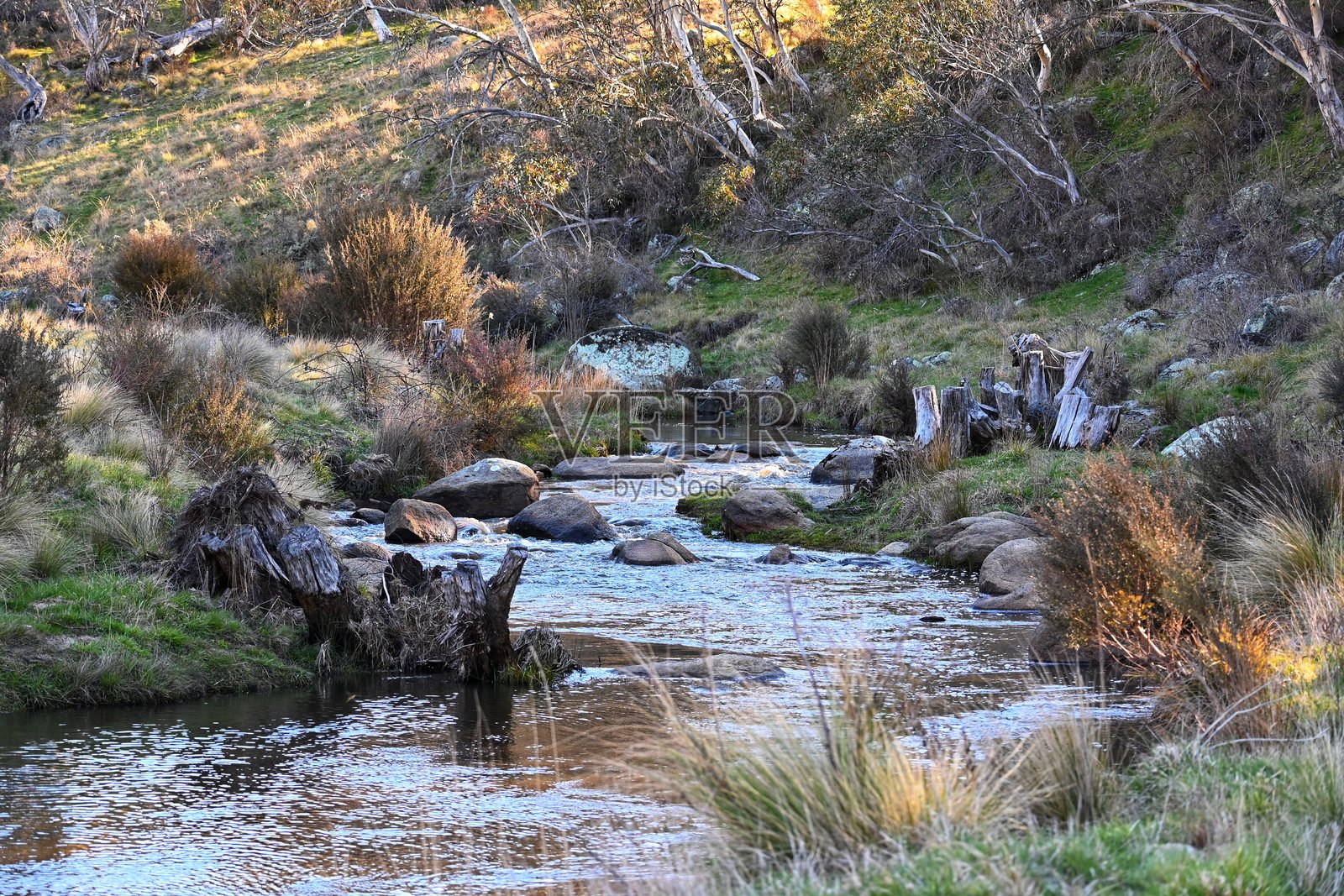 澳大利亚新南威尔士州雪山旁的溪流景色与倒影。有桉树、草地和袋熊洞。照片摄影图片