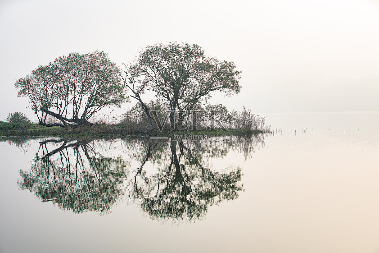 河畔风光照片摄影图片