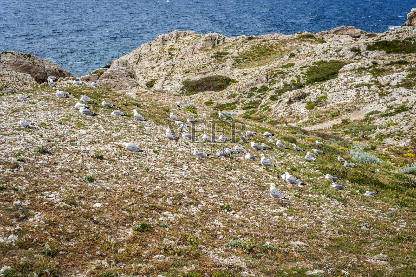 弗里乌尔群岛和波姆格岛照片摄影图片