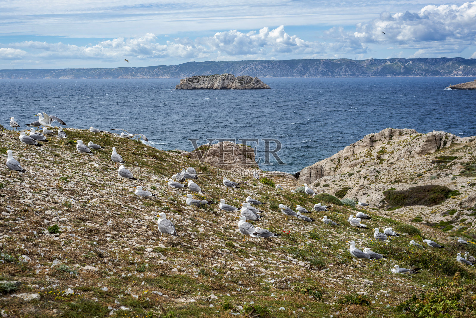 弗里乌尔群岛和波梅格岛照片摄影图片