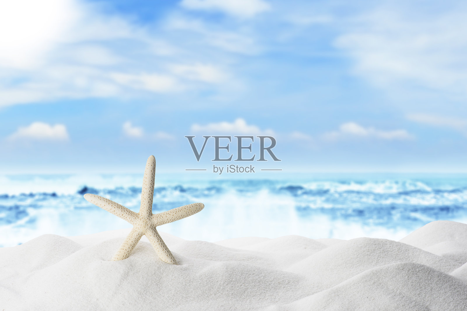 白色沙滩上的海星和海螺，伴随着海浪照片摄影图片