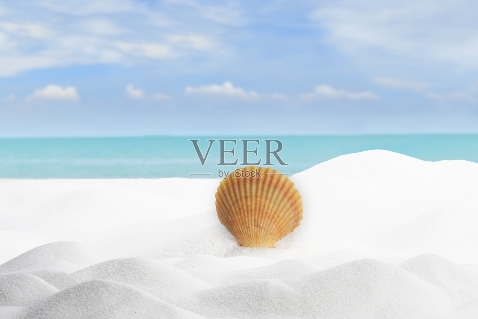 多云蓝天下海边的沙滩照片摄影图片