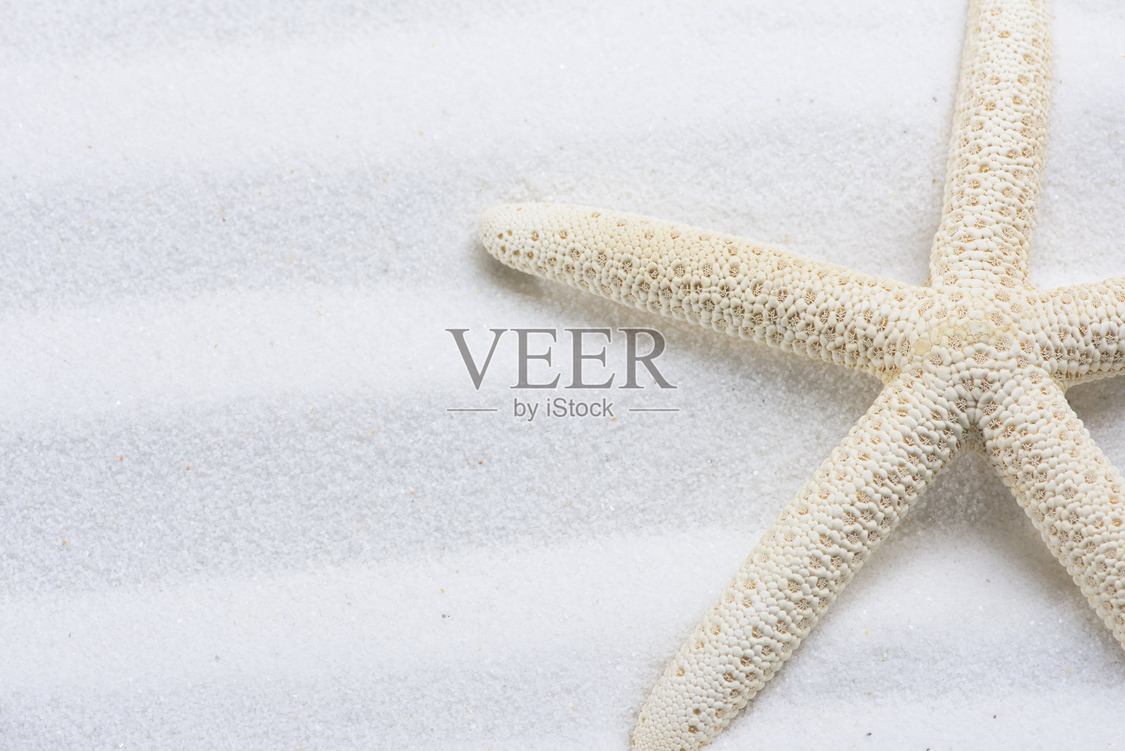 海星和贝壳在白色沙滩上，海浪拍打而来照片摄影图片