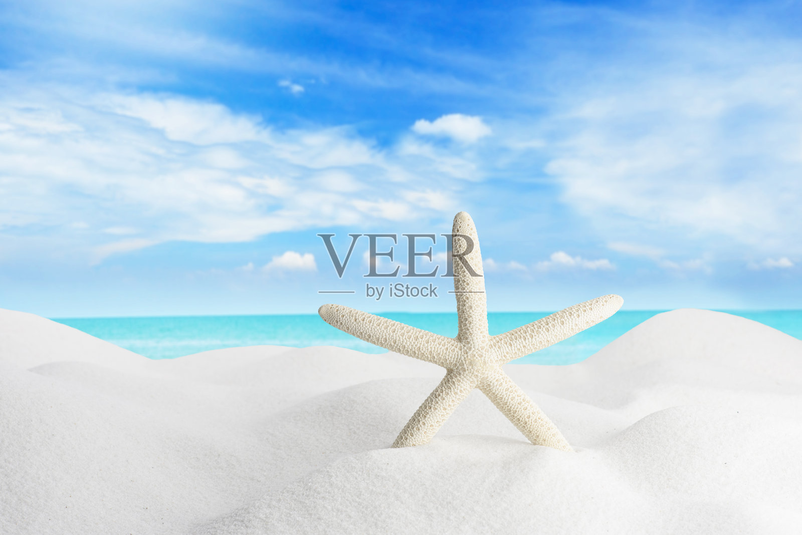 海星和贝壳在白色沙滩上，海浪拍打着照片摄影图片